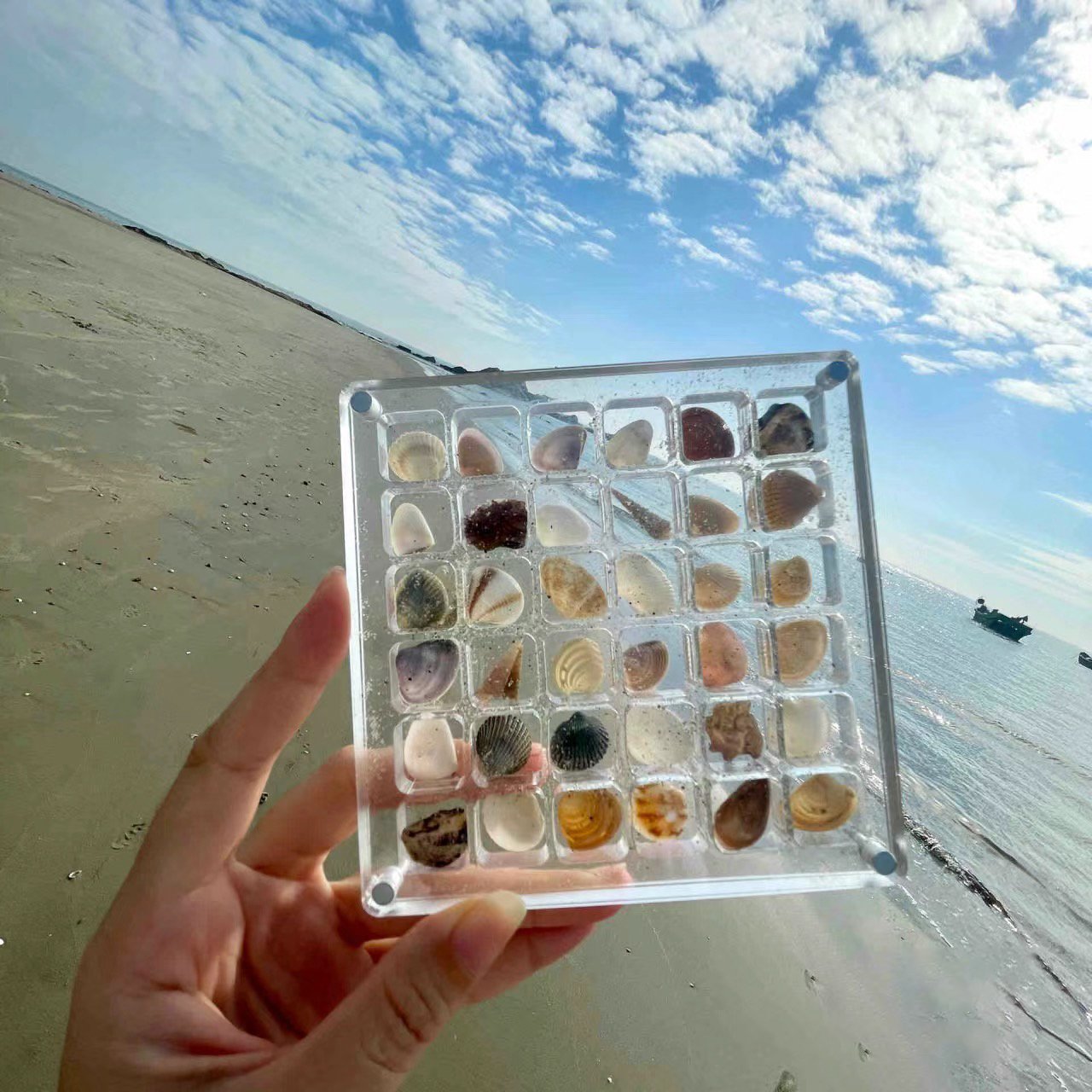 ❤️LAST DAY 70%OFF -Acrylic Magnetic Seashell Display Box