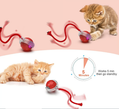 😻This Week's Special Offer 49% OFF - Automatic Interactive Pet Toys Ball