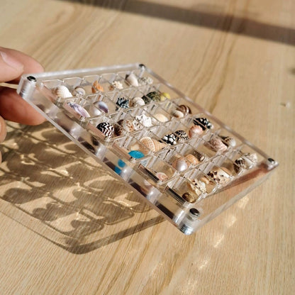 ❤️LAST DAY 70%OFF -Acrylic Magnetic Seashell Display Box