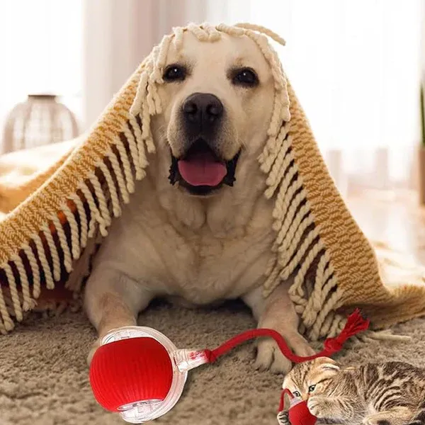 😻This Week's Special Offer 49% OFF - Automatic Interactive Pet Toys Ball