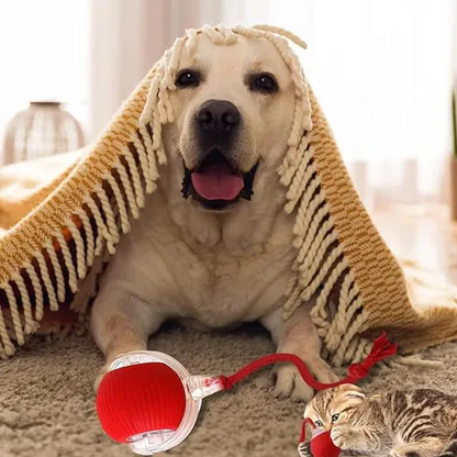😻This Week's Special Offer 49% OFF - Automatic Interactive Pet Toys Ball