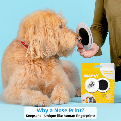 🐾 Pet Nose and Paw Print Keepsake Kit