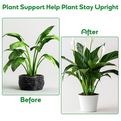 🏆Flash Sale⚡ 50K+ SOLD! Almost Gone-🌿Plant Stem Support Set