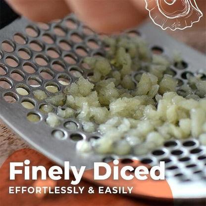 (🔥2025 New Year Hot Sale) Stainless Steel Garlic Presser