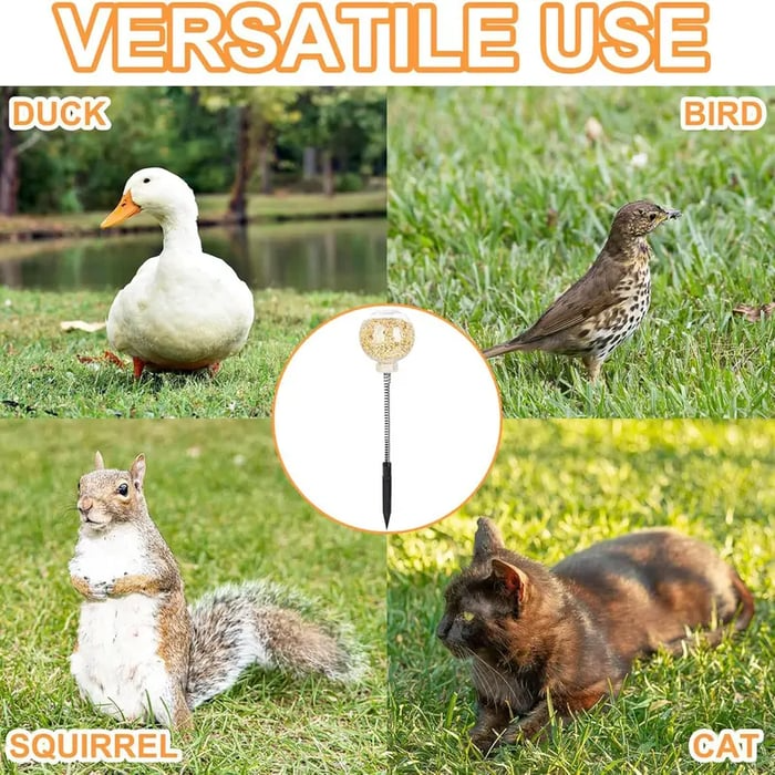 🔥LAST DAY 49% OFF 🐔Ultimate Chicken Peck Toy (2PCS)