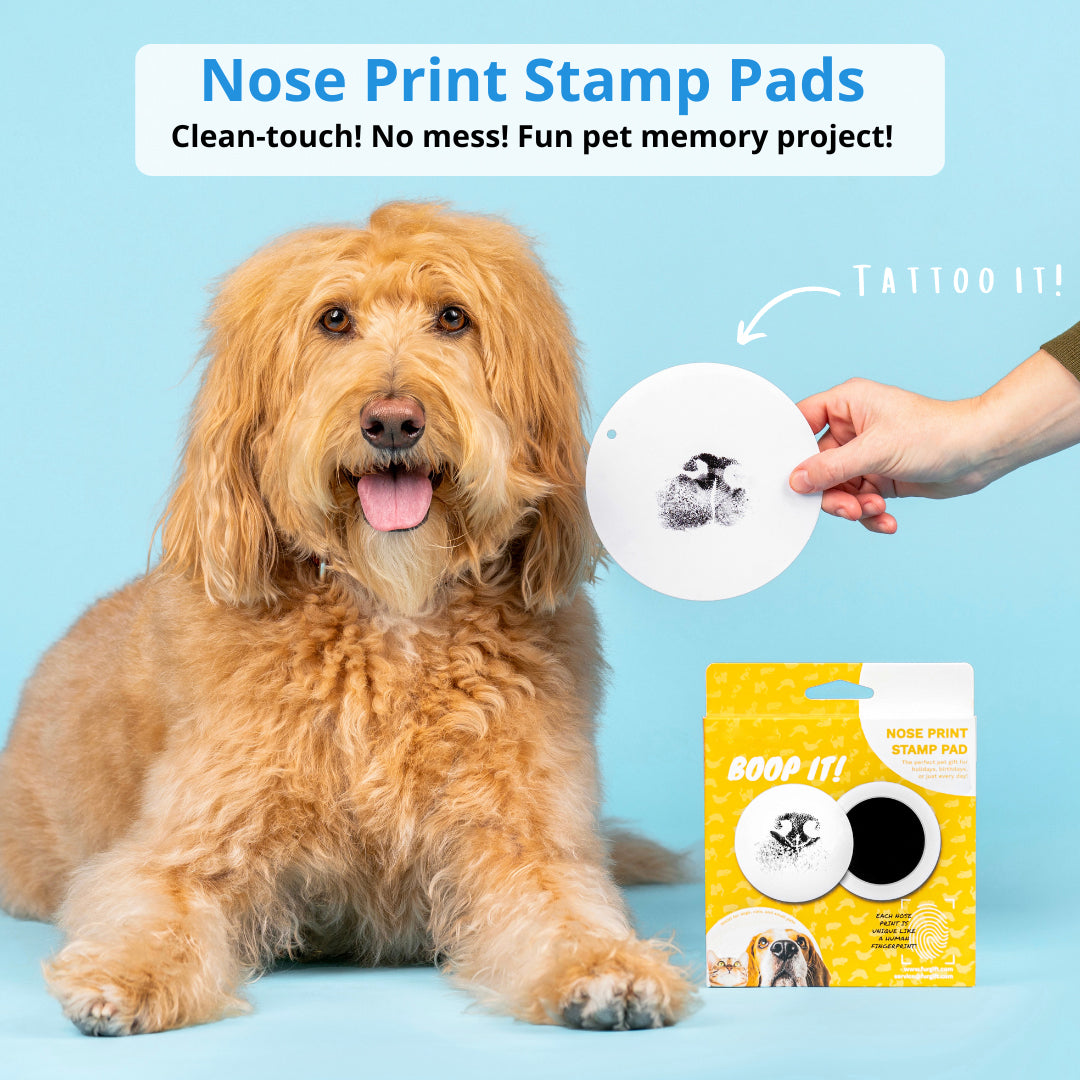 🐾 Pet Nose and Paw Print Keepsake Kit