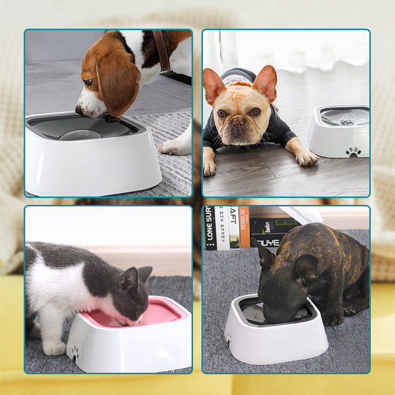 🐾Zero Splash Dog Water Bowl