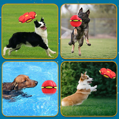 🐾Pet Toy Flying Saucer Ball