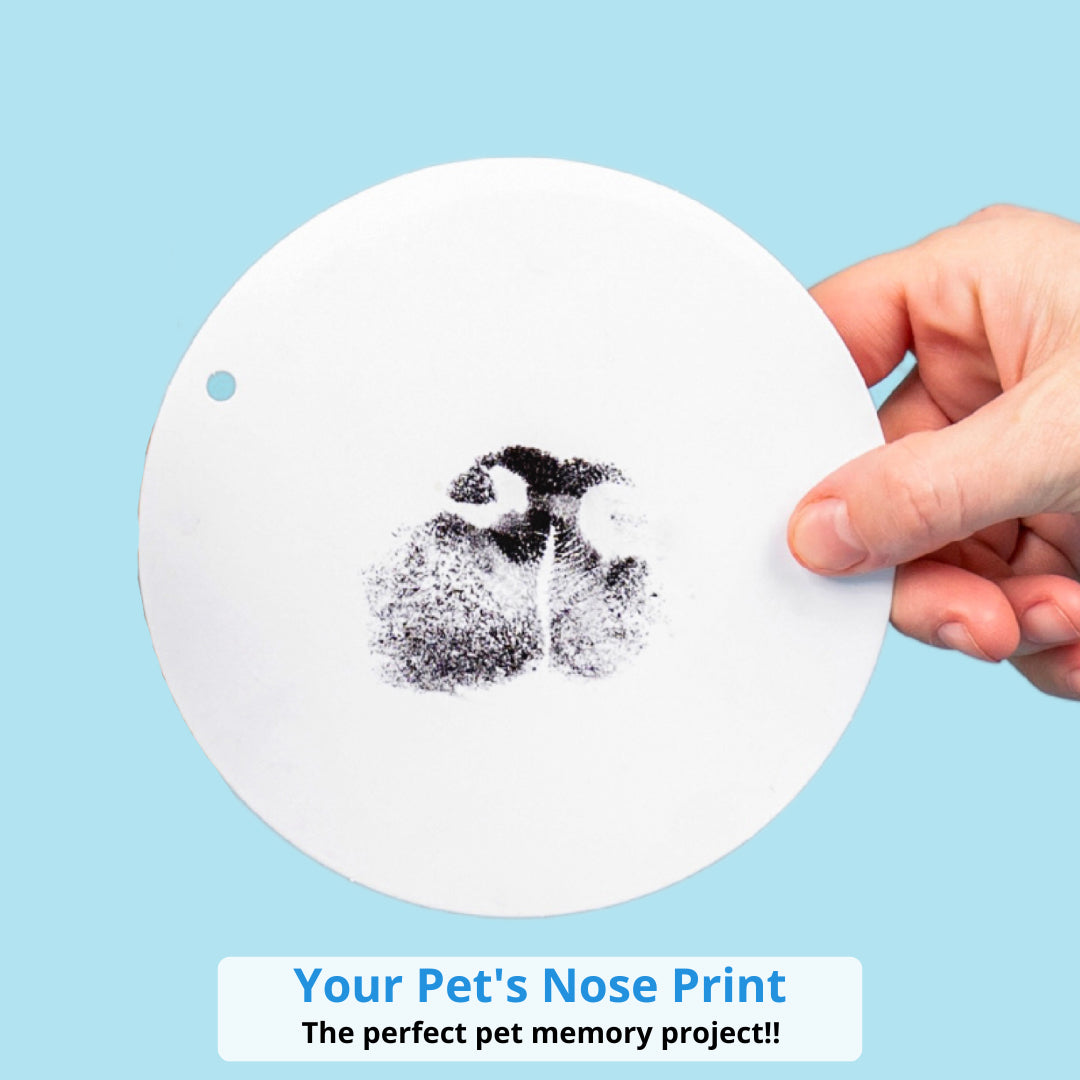 🐾 Pet Nose and Paw Print Keepsake Kit