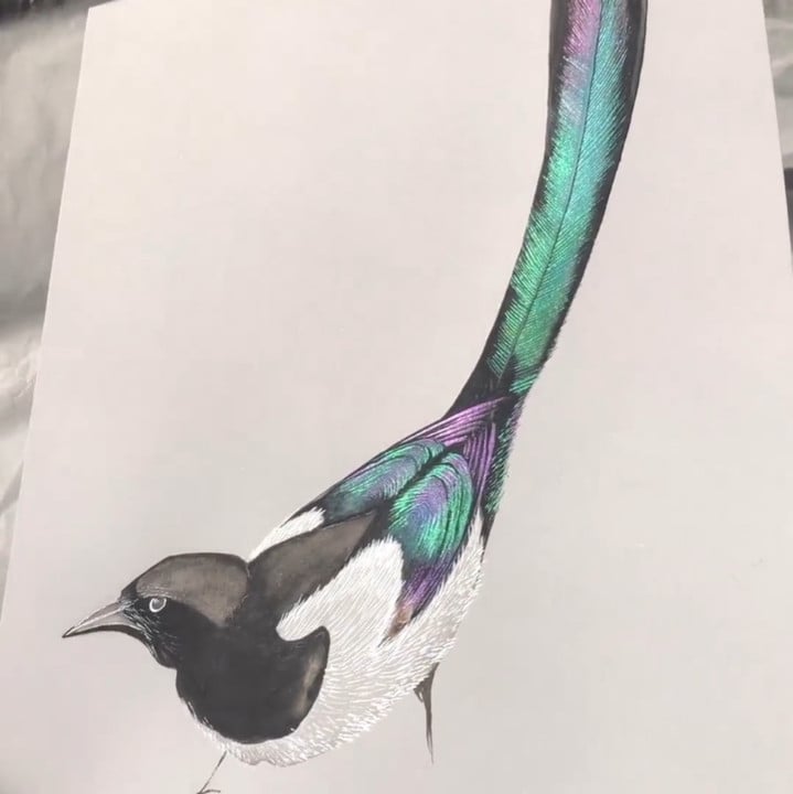 🔥LAST DAY 49% OFF🎨Chromaluxe Reactive Watercolor Kit (Where Physics Meets Fantasy)