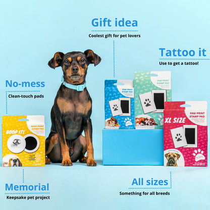 🐾 Pet Nose and Paw Print Keepsake Kit