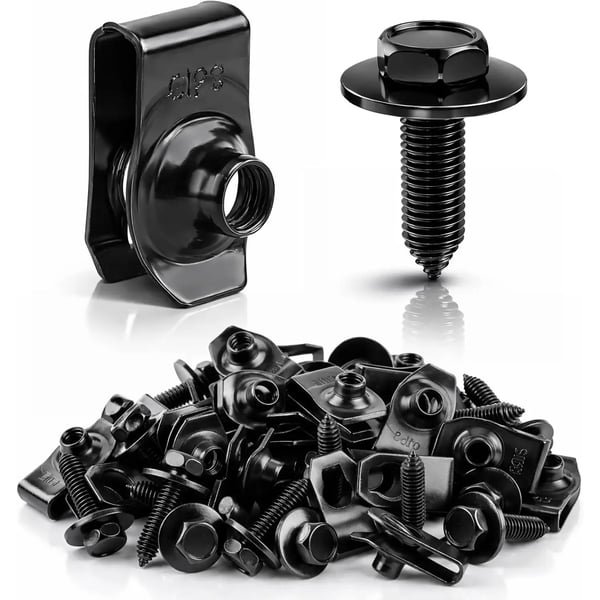 50Pcs Body Bolt & U-Nut Clip Kit
