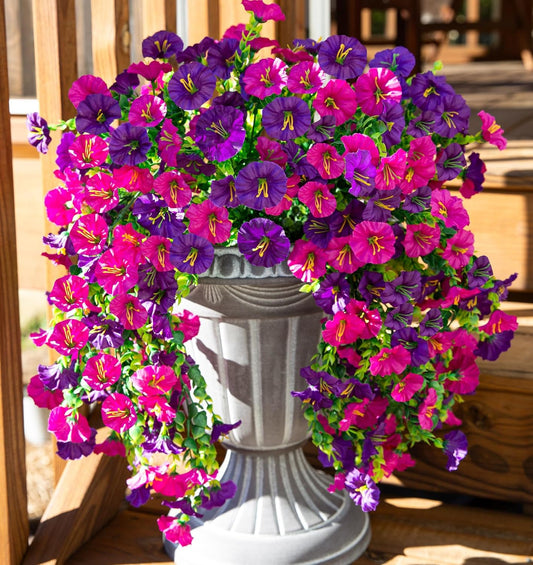 🌺LAST DAY 49% OFF🌺Hanging Morning Glory