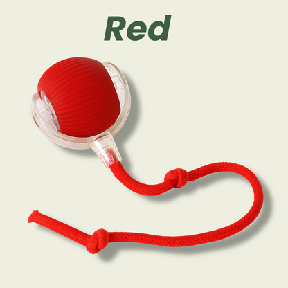🔥Last Day 49% OFF 🐾 Smart Self-Rotating Interactive Pet Ball