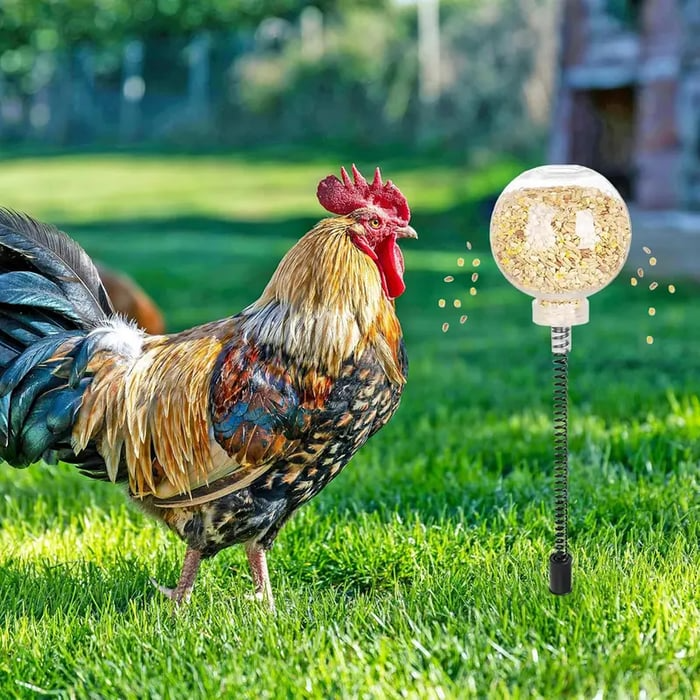 🔥LAST DAY 49% OFF 🐔Ultimate Chicken Peck Toy (2PCS)