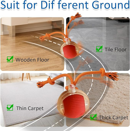 😻This Week's Special Offer 49% OFF - Automatic Interactive Pet Toys Ball