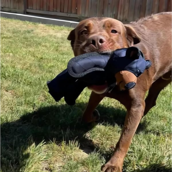 🔥LAST DAY SALE 49% OFF 🐶2025 New Unbreaka-Bear™ for Strong Chewers