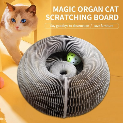 🐱Magic Foldable Scratcher & Cat Bed🛌 - Buy 2 & Save 20% - ONLY TODAY
