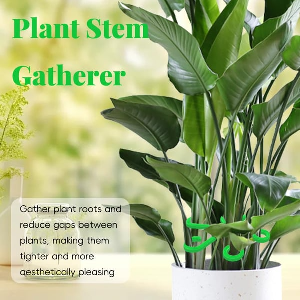 🏆Flash Sale⚡ 50K+ SOLD! Almost Gone-🌿Plant Stem Support Set