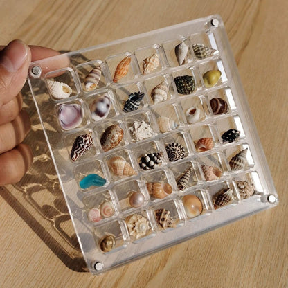 ❤️LAST DAY 70%OFF -Acrylic Magnetic Seashell Display Box