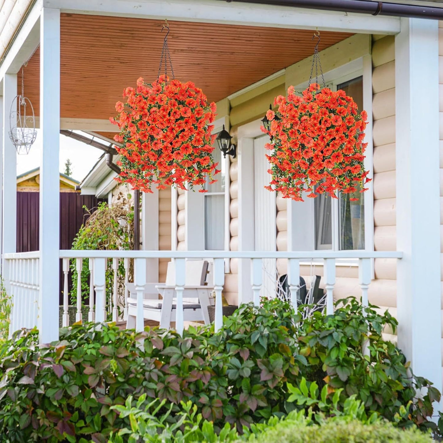 🌺LAST DAY 49% OFF🌺Hanging Morning Glory