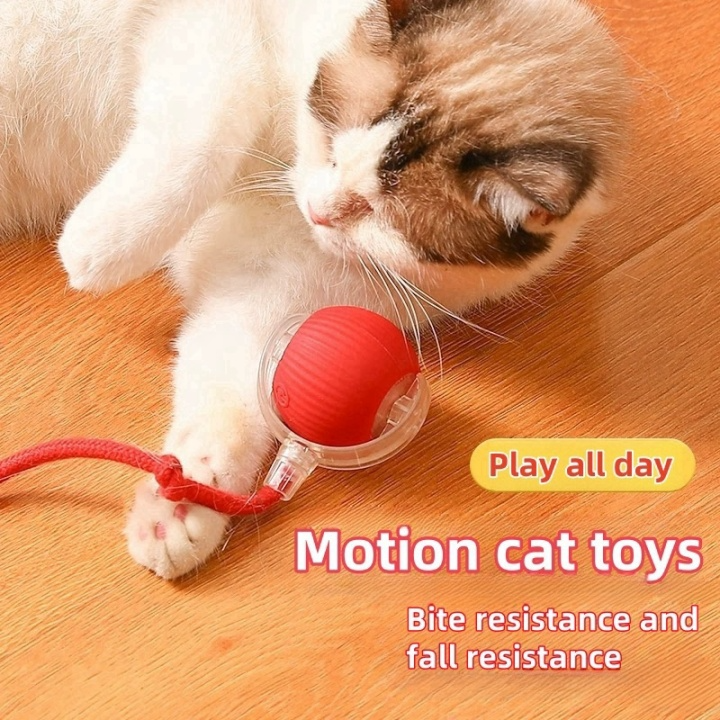 😻This Week's Special Offer 49% OFF - Automatic Interactive Pet Toys Ball