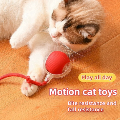 😻This Week's Special Offer 49% OFF - Automatic Interactive Pet Toys Ball