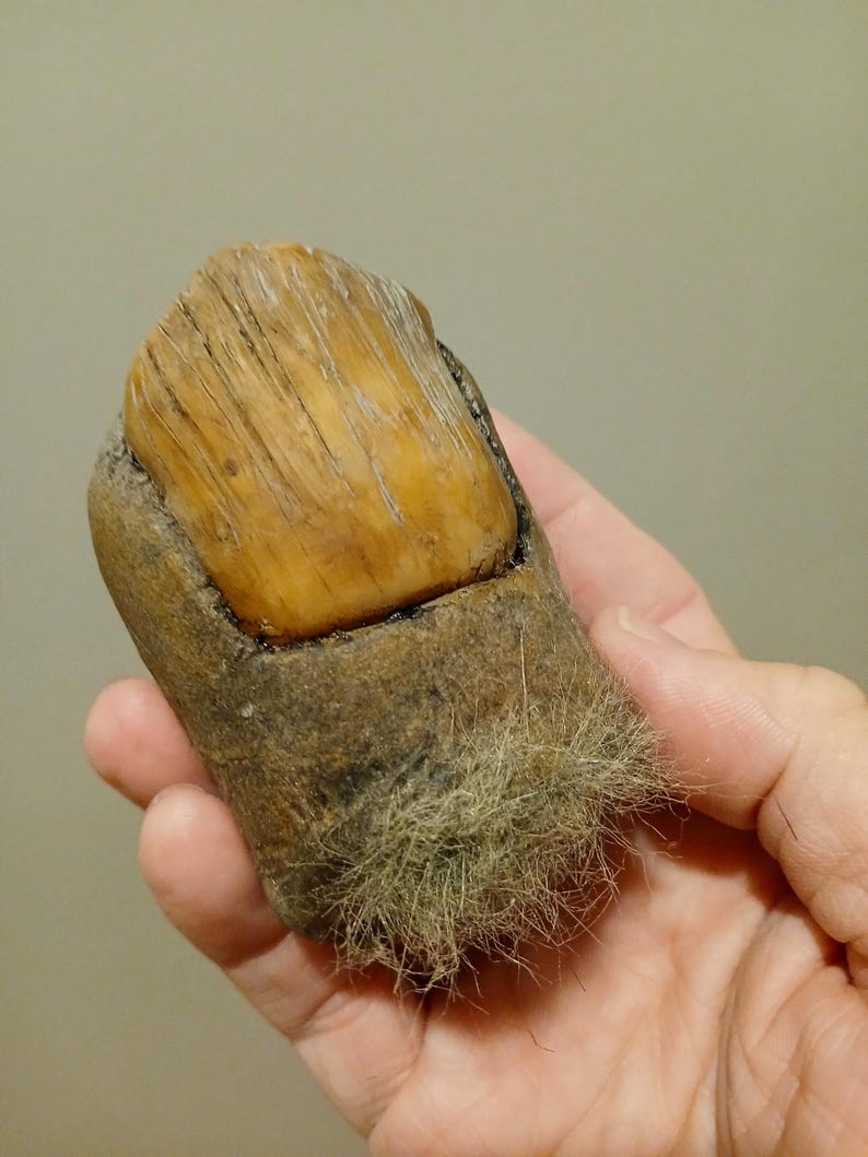 🦶Bigfoot Toe Sasquatch high quality hand sculpted prop